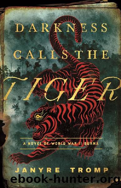 Darkness Calls the Tiger by Janyre Tromp