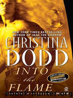 Darkness Chosen 4 - Into the Flame by Christina Dodd