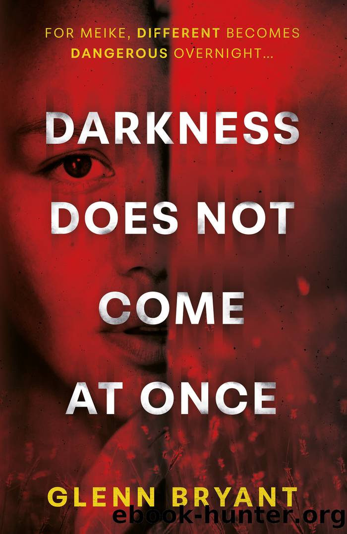 Darkness Does Not Come At Once by Glenn Bryant