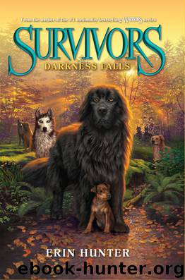Darkness Falls by Erin Hunter