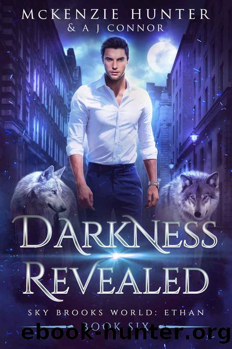 Darkness Revealed (Sky Brooks World: Ethan Book 6) by McKenzie Hunter & A J Connor