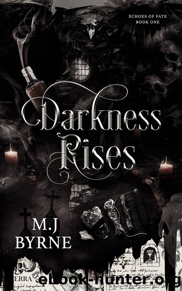 Darkness Rises (Echoes of Fate Book 1) by M.J Byrne