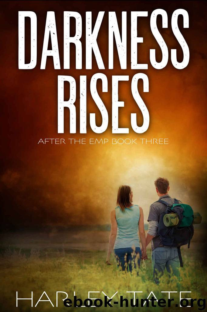 Darkness Rises: A Post-Apocalyptic Survival Thriller (After the EMP Book 3) by Harley Tate