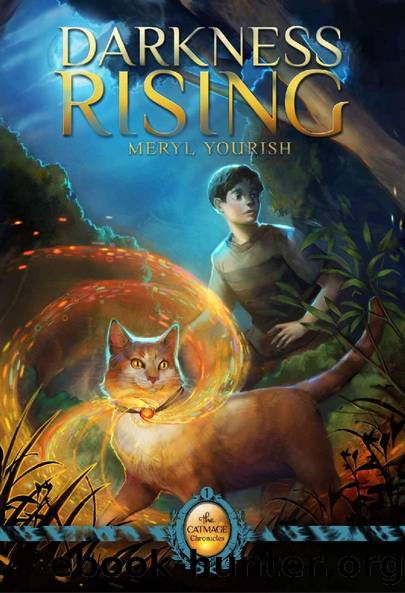 Darkness Rising: Book One of The Catmage Chronicles by Meryl Yourish