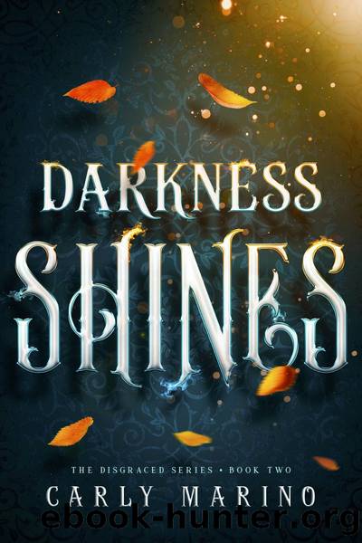 Darkness Shines by Carly Marino
