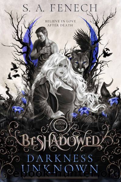 Darkness Unknown (Beshadowed, #1) by Fenech S.A