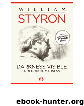Darkness Visible by William Styron