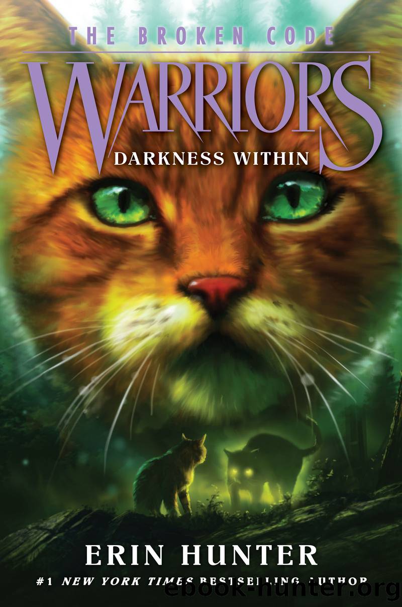 Darkness Within by Erin Hunter