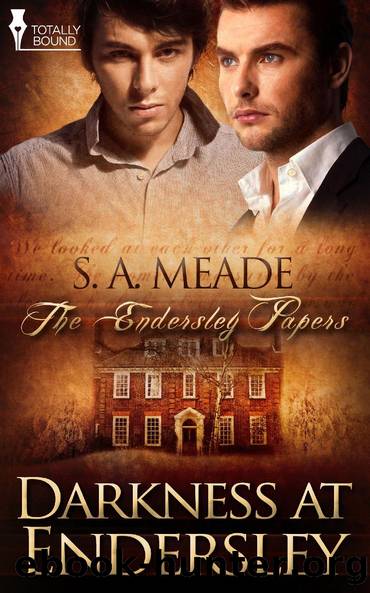 Darkness at Endersley by S.A. Meade