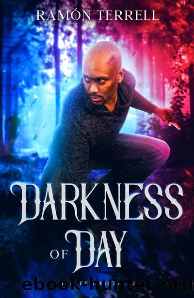 Darkness of Day by Ramon Terrell