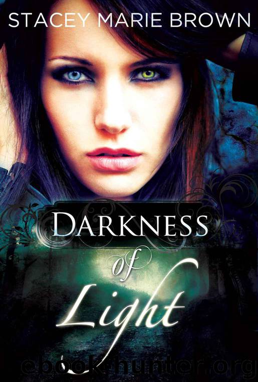 Darkness of Light by Brown Stacey Marie