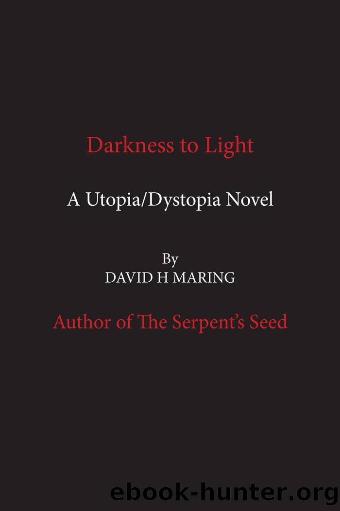 Darkness to Light by David H. Maring