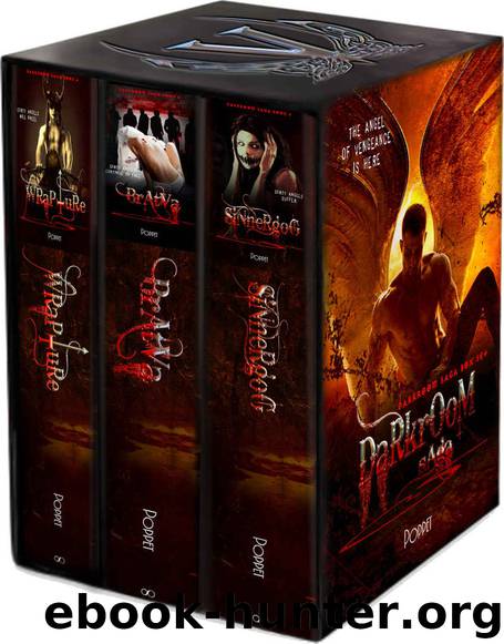 Darkroom Saga Omnibus 2 by Poppet
