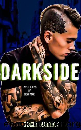 Darkside : Twisted Boys of NY [Dark Romance, Reverse Harem] (Twisted Boys of NY: Book 1) by Stacey Marriott