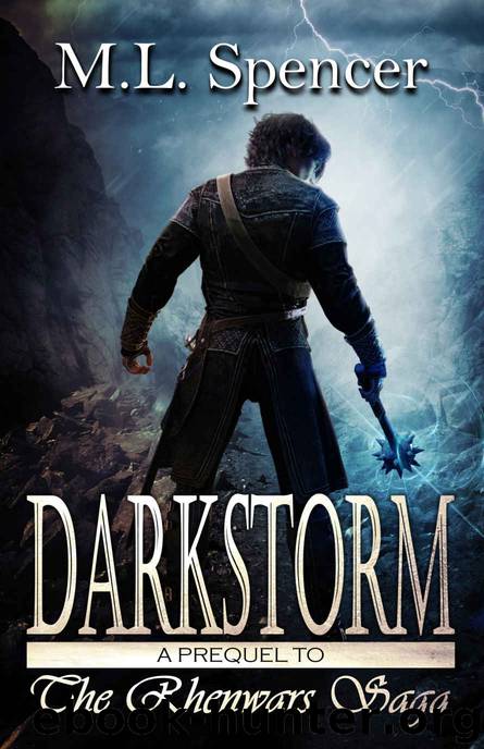 Darkstorm by M. L. Spencer