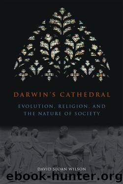 Darwin's Cathedral: Evolution, Religion, and the Nature of Society by David Sloan Wilson