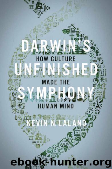 Darwin's Unfinished Symphony: How Culture Made the Human Mind by Kevin N. Laland