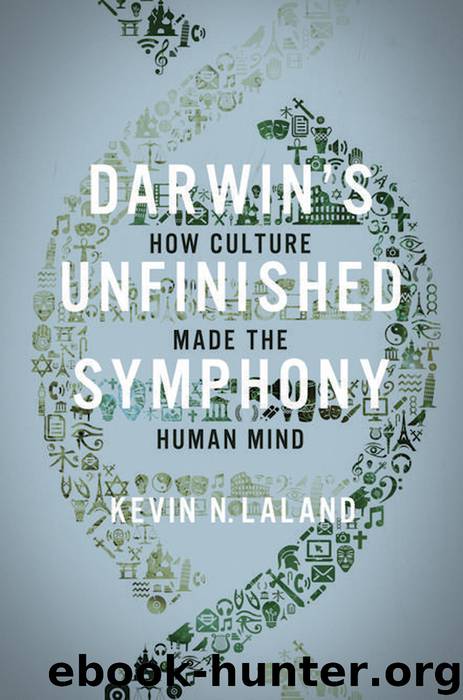 Darwin's Unfinished Symphony: How Culture Made the Human Mind by Laland Kevin N