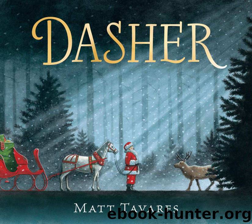 Dasher by Matt Tavares