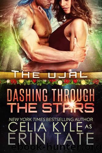Dashing Through the Stars by Erin Tate & Celia Kyle