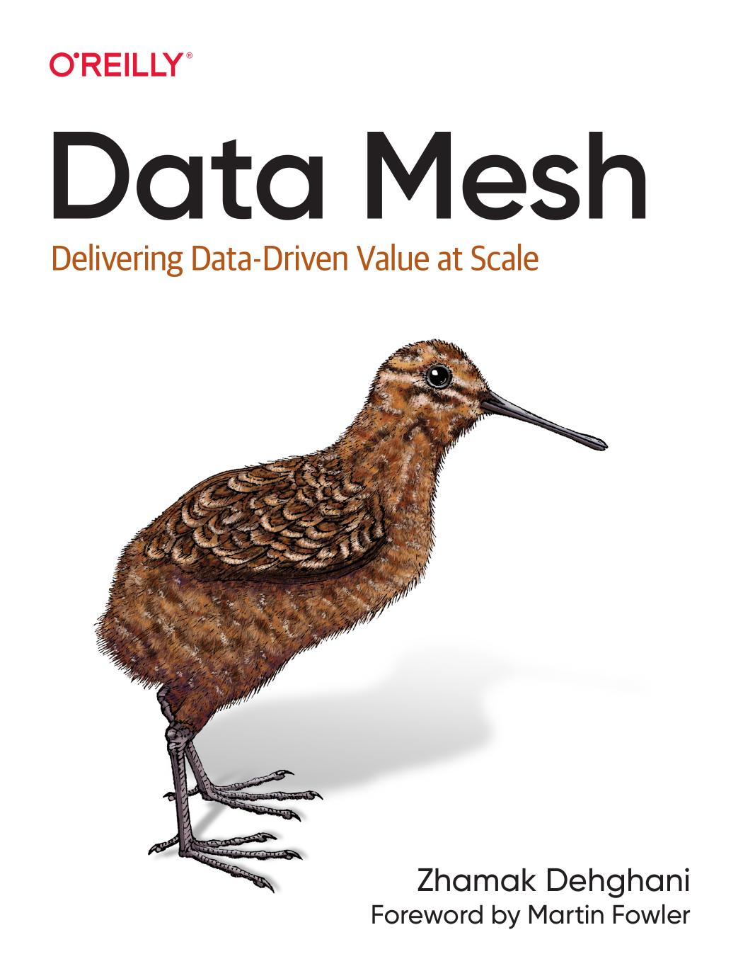 Data Mesh by Zhamak Dehghani