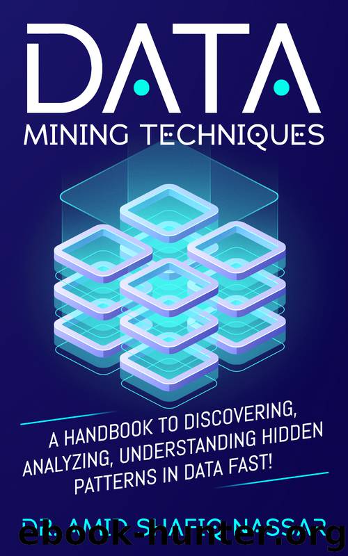 Data Mining Techniques: A Handbook to Discovering, Analyzing, Understanding Hidden Patterns in Data FAST! by Nassar Dr. Amid Shafiq