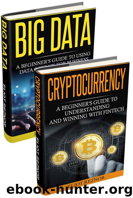 Data Revolution: Big Data, Cryptocurrency (Data Infrastructures, Open Data, Fintech, Security, Technology, Data Driven) by Eliot P. Reznor