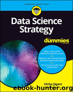 Data Science Strategy For Dummies by Ulrika J & auml;gare & Lillian Pierson