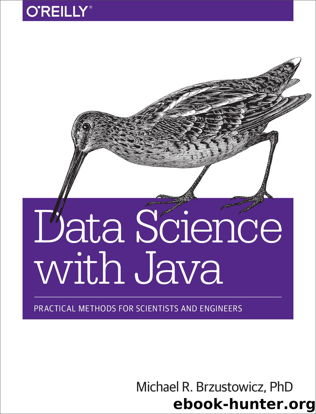 Data Science with Java by Michael R. Brzustowicz PhD