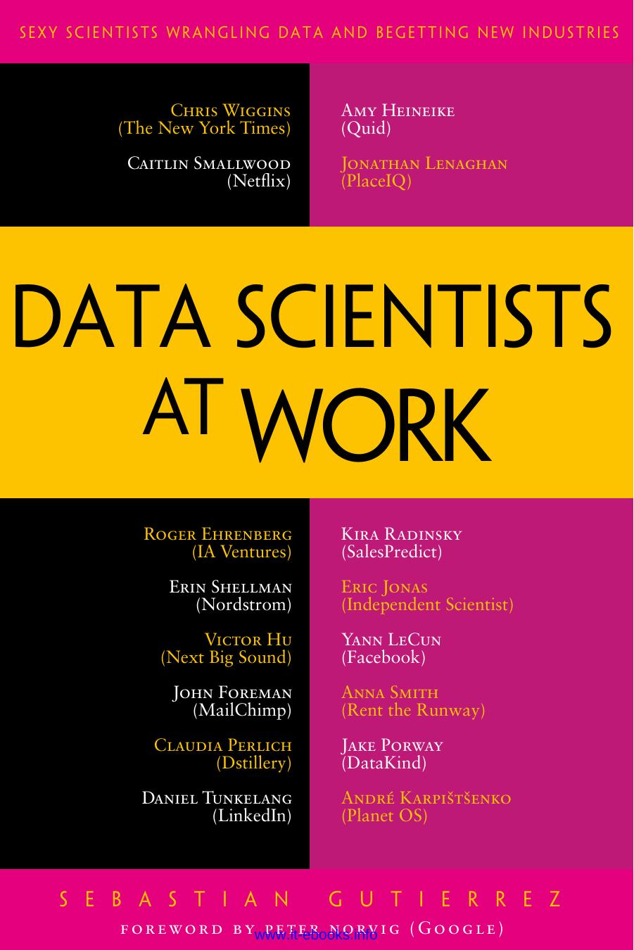 Data Scientists at Work by Sebastian Gutierrez