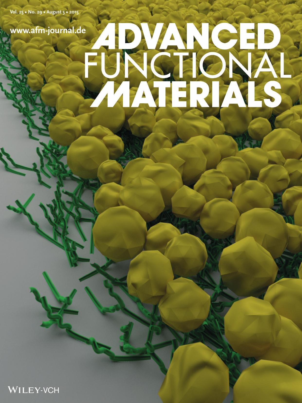 Data Storage: Developing Biotemplated Data Storage: Room Temperature Biomineralization of L1<sub>0<sub> CoPt Magnetic Nanoparticles (Adv. Funct. Mater. 29/2015) by Unknown