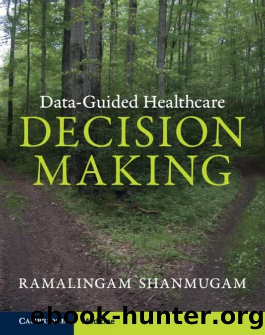 Data-Guided Healthcare Decision Making by Ramalingam Shanmugam