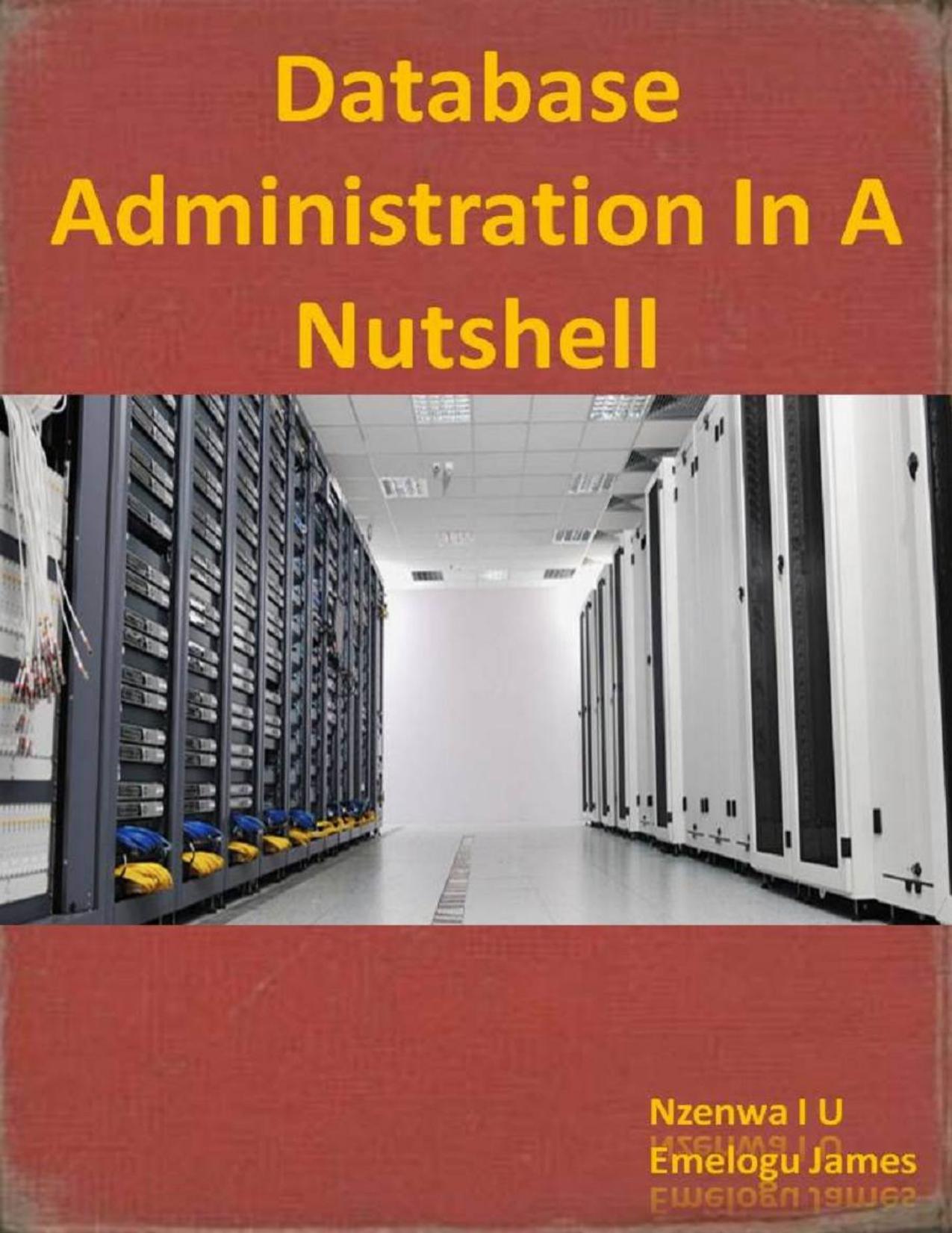 Database Administration In A Nutshell: A Primer Course by nzenwa I. U