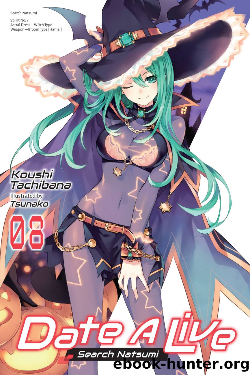 Date A Live, Vol. 8: Search Natsumi by Koushi Tachibana and Tsunako