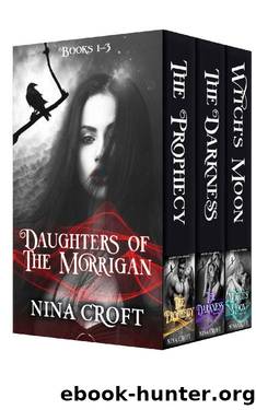 Daughters of the Morrigan Boxed Set: (Books 1-3) by Nina Croft
