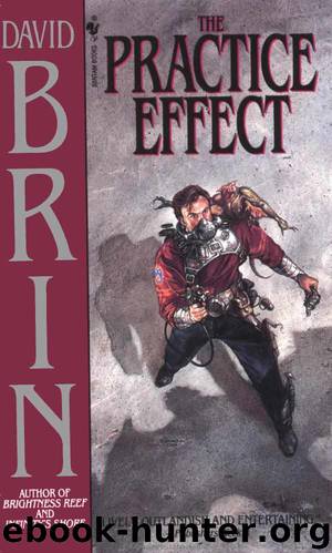 David Brin by The Practice Effect