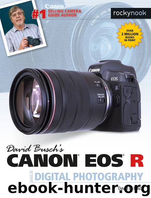 David Busch's Canon EOS R Guide to Digital Photography by David D. Busch