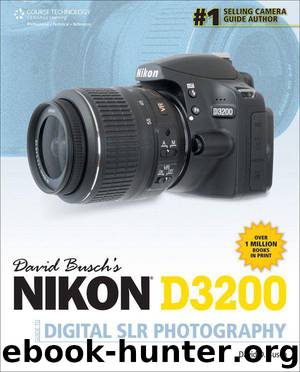 David Busch's Nikon D3200 Guide to Digital SLR Photography by David D. Busch