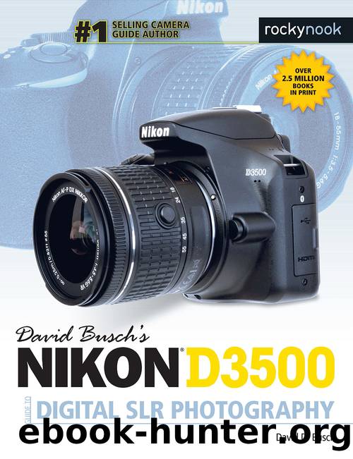 David Busch's Nikon D3500 Guide to Digital SLR Photography by David D. Busch