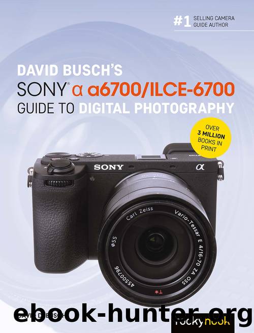 David Buschâs Sony Alpha a6700ILCE-6700 Guide to Digital Photography by David D. Busch
