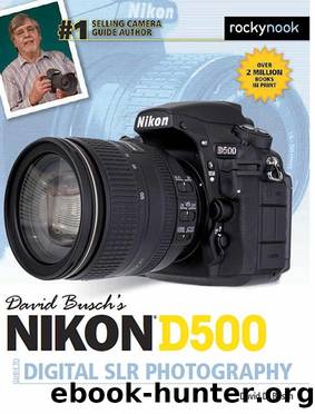 David Busch’s Nikon D500 Guide to Digital SLR Photography by David D. Busch