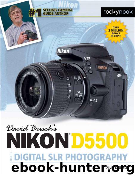 David Busch’s Nikon D5500 Guide to Digital SLR Photography by Busch David D