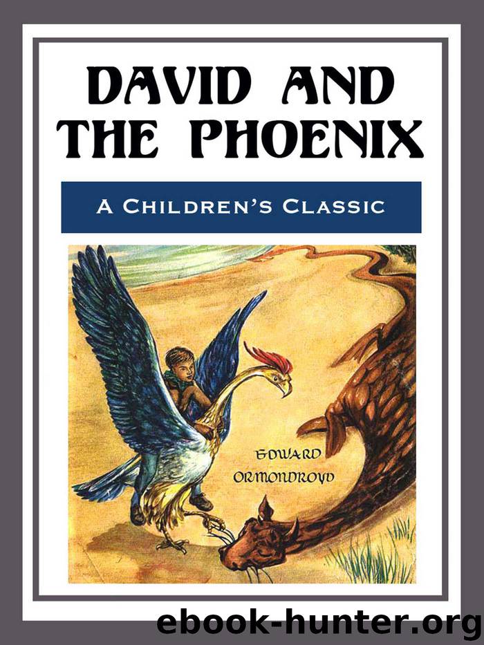 David and the Phoenix - Illustrated by Edward Ormondroyd