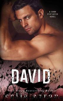David by Celia Aaron