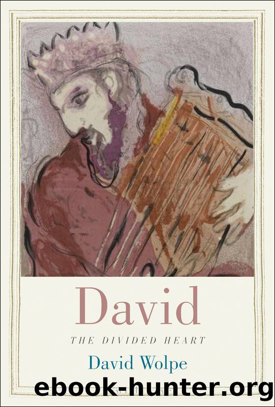 David by David Wolpe