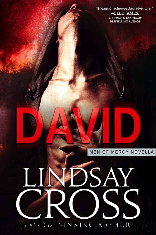 David by Lindsay Cross