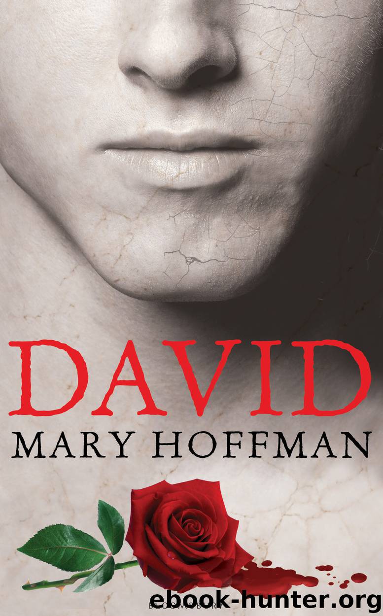 David by Mary Hoffman