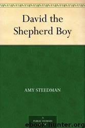 David the Shepherd Boy by Amy Steedman