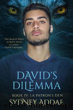 David's Dilemma by Sydney Addae