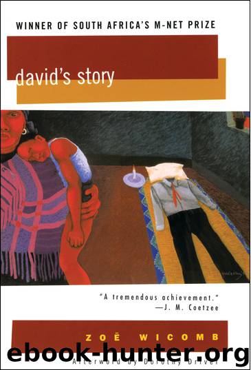 David's Story by Zoë Wicomb
